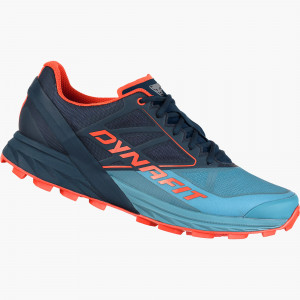 Alpine Running Shoe Men