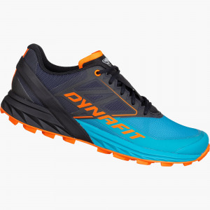 Alpine Running Shoe Women