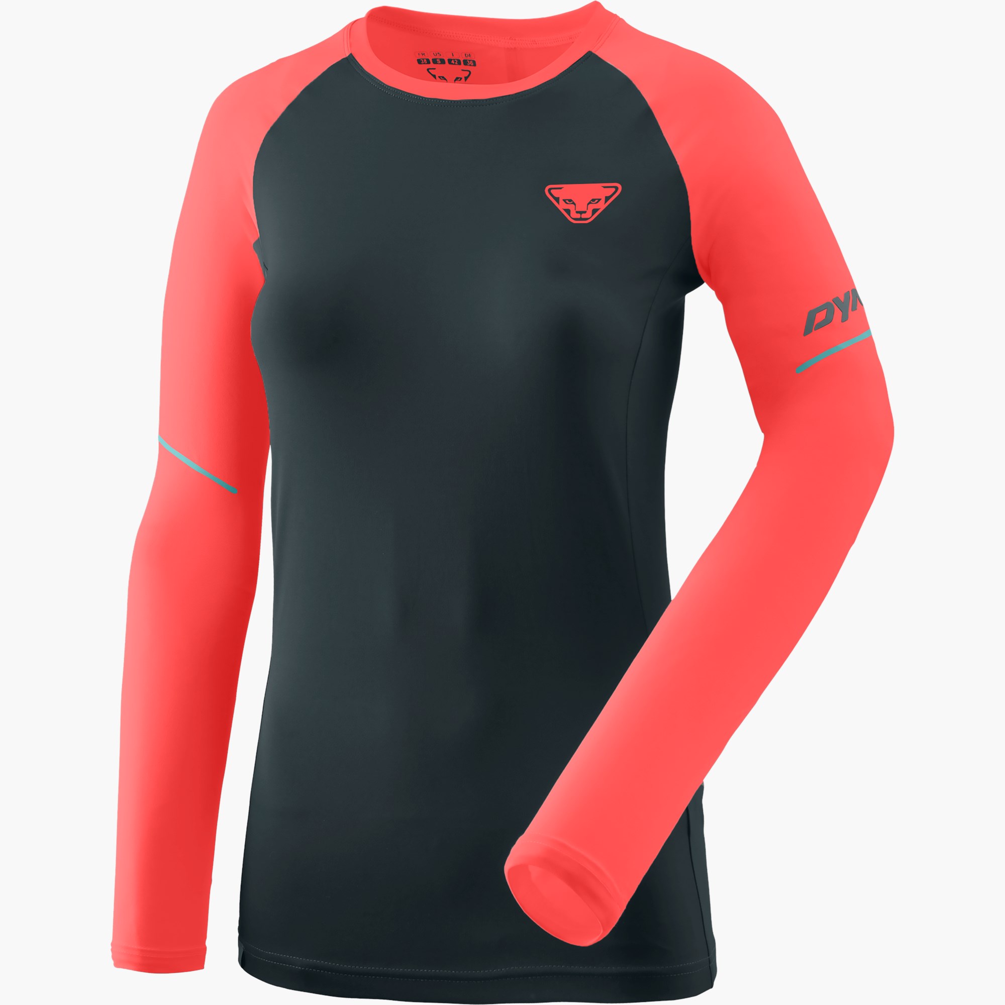 Dynafit alpine pro w clearance