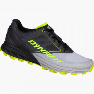 Alpine Running Shoe Men