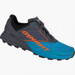 Running shoe ALPINE men