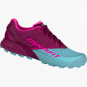 Alpine Running Shoe Women